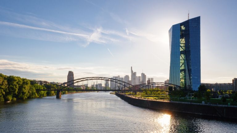 Laut der EZB sollen die NPL Bestände schnell reduziert werden.