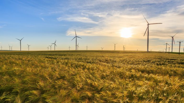 EOS KSI und CEZ haben eine erfolgreiche Partnerschaft. Durch die Expertise der Inkasso-Experten erzielt Rumäniens größter Ökostrom-Produzent jedes Jahr bessere Ergebnisse. 